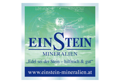 Logo_Einstein_243x167